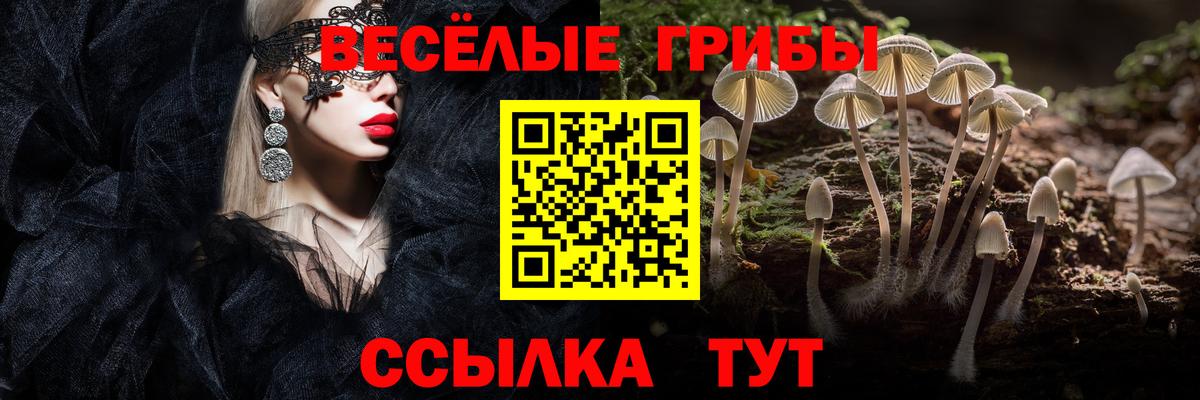 Галлюциногенные грибы прущие грибы  Вход с VPN  Псилоцибиновые грибы Cubensis  Борзя 